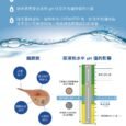 Vet Water – Cat Water PH Balance預防泌尿配方貓貓飲用水 (500ml/4L)(貓用)