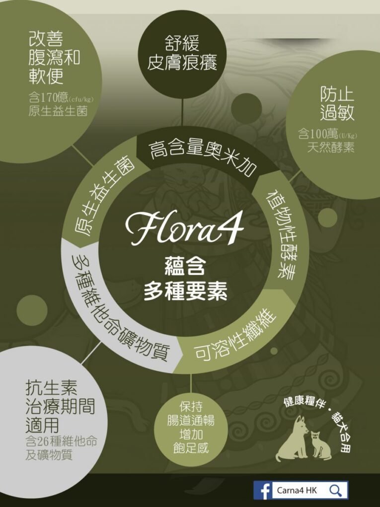 flor4-leaflet_2.jpg